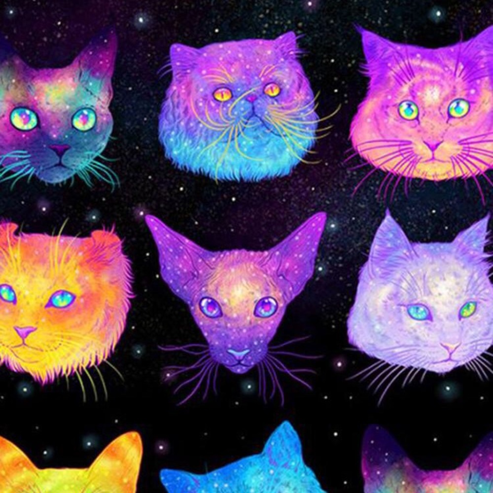 Meet your Posher, Mischa